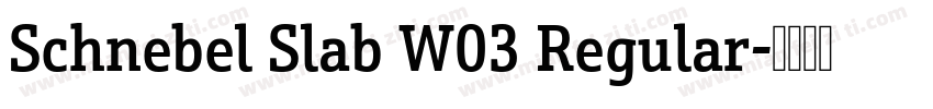Schnebel Slab W03 Regular字体转换